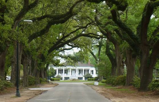 Spring Hill
